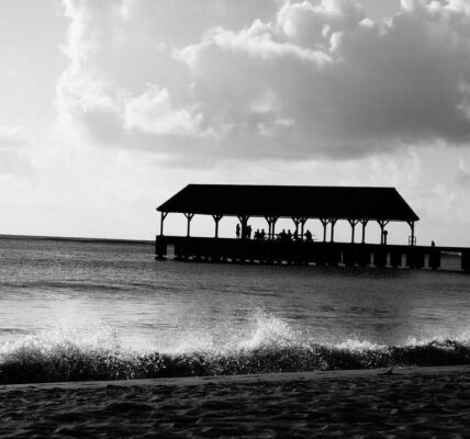 Brand Authority: Marke vor Keywords