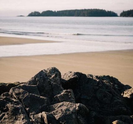 Content-Marketing mit KI: Tools und Strategien