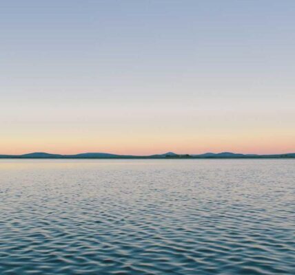 Das Zusammenspiel von Branding und Kundenservice