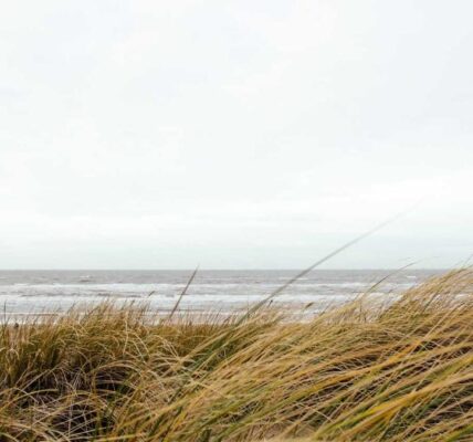 Der Einfluss von visuellen Storytelling auf das Branding