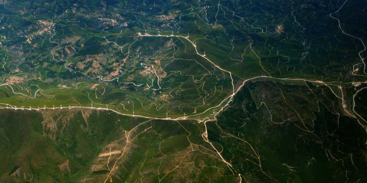 Die Bedeutung von Nutzererfahrungen für Markenloyalität