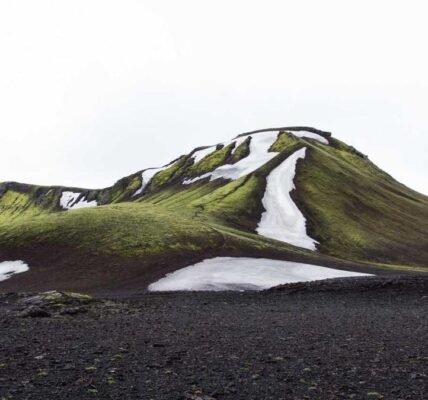 Die Bedeutung von Responsivität für digitales Marketing