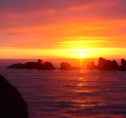 Die Bedeutung von visueller Konsistenz für Marken