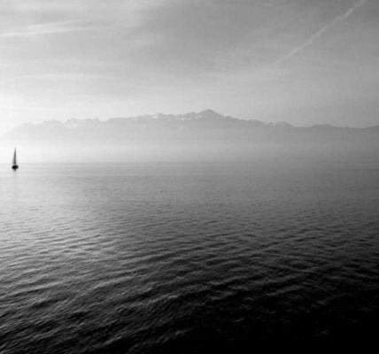 Die Kunst der Markenbildung in der Online-Welt