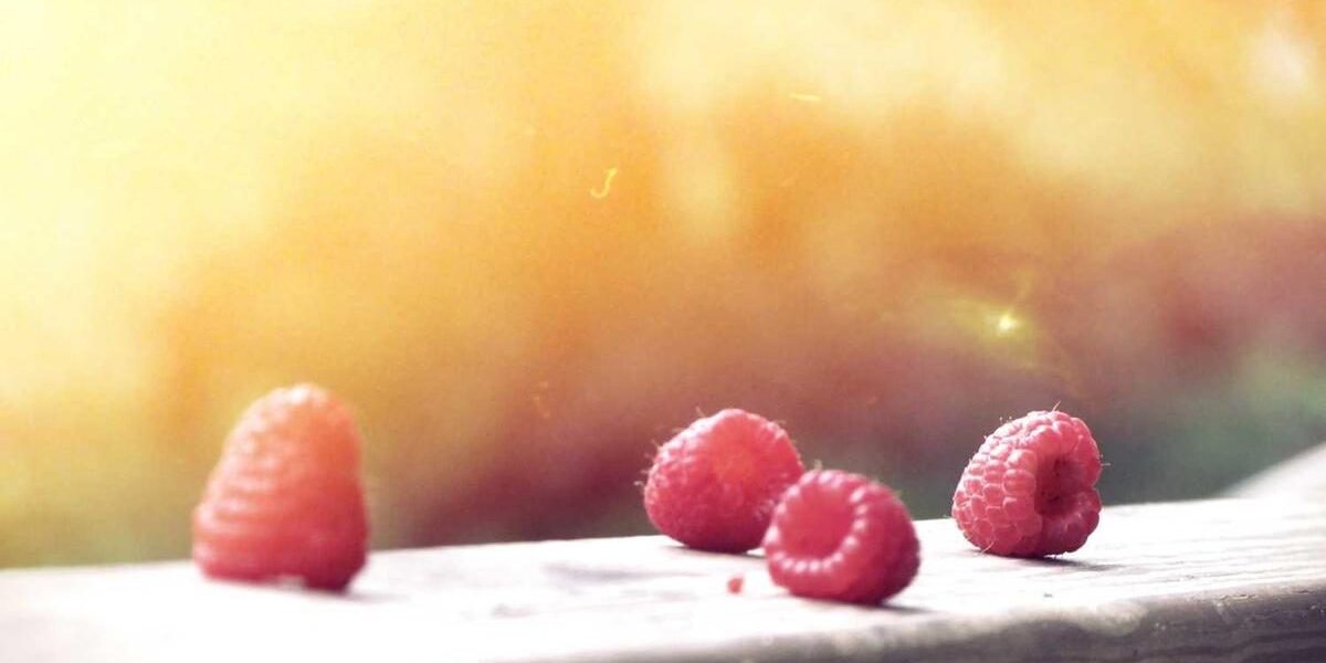 Die Rolle von Analytics im digitalen Marketing