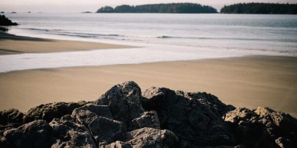 Die Rolle von Podcasts im modernen Marketing