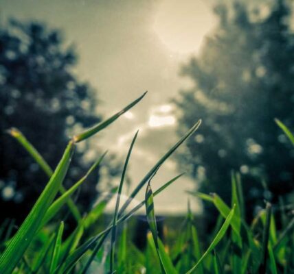 Die Zukunft des digitalen Marketings gestalten