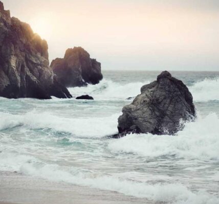 Erfolgreiche Branding-Strategien für kleine Unternehmen