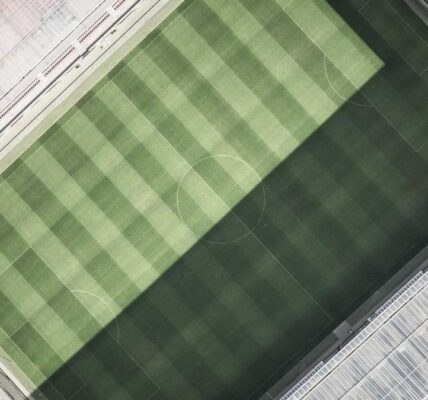 Erfolgreiche Markenstrategien im Zeitalter der Digitalisierung