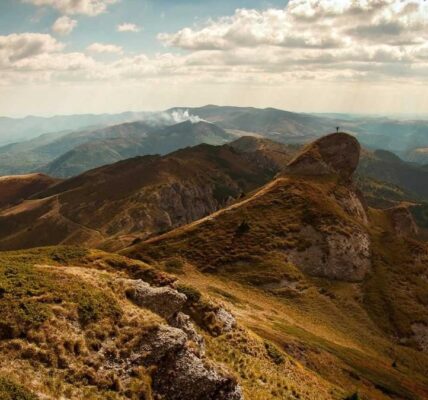 Innovative Ansätze zur Markenkommunikation