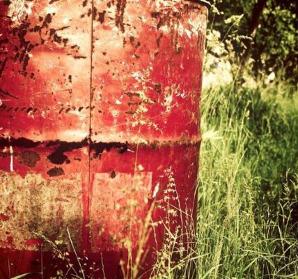 Kreativität als Treiber im digitalen Branding