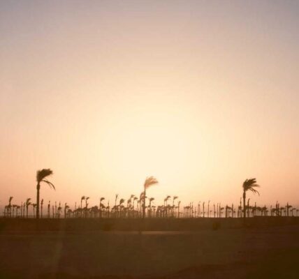 Mit datenbasiertem Marketing den Kunden verstehen