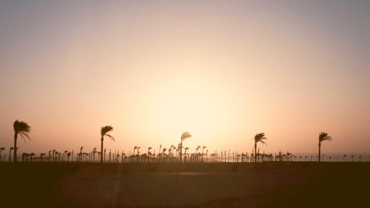 Mit datenbasiertem Marketing den Kunden verstehen