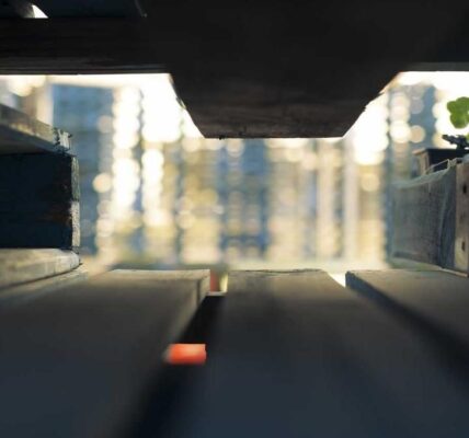 Social Media als Suchmaschine: Gen Z Trends