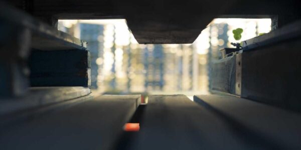 Social Media als Suchmaschine: Gen Z Trends