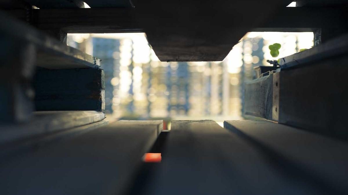 Social Media als Suchmaschine: Gen Z Trends