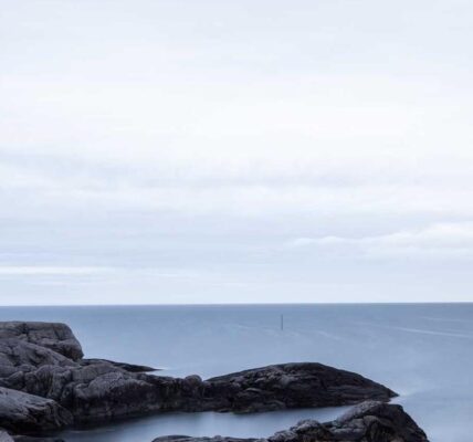 Suchmaschinenoptimierung für nachhaltigen Markenerfolg