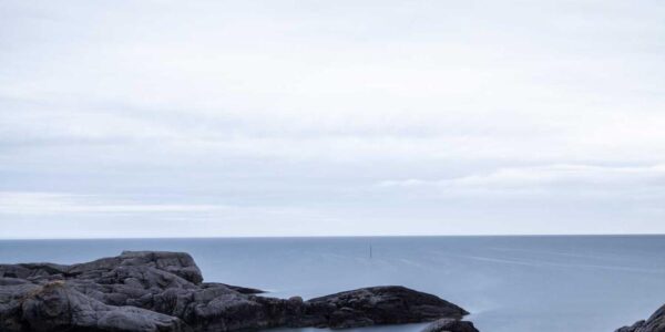 Suchmaschinenoptimierung für nachhaltigen Markenerfolg