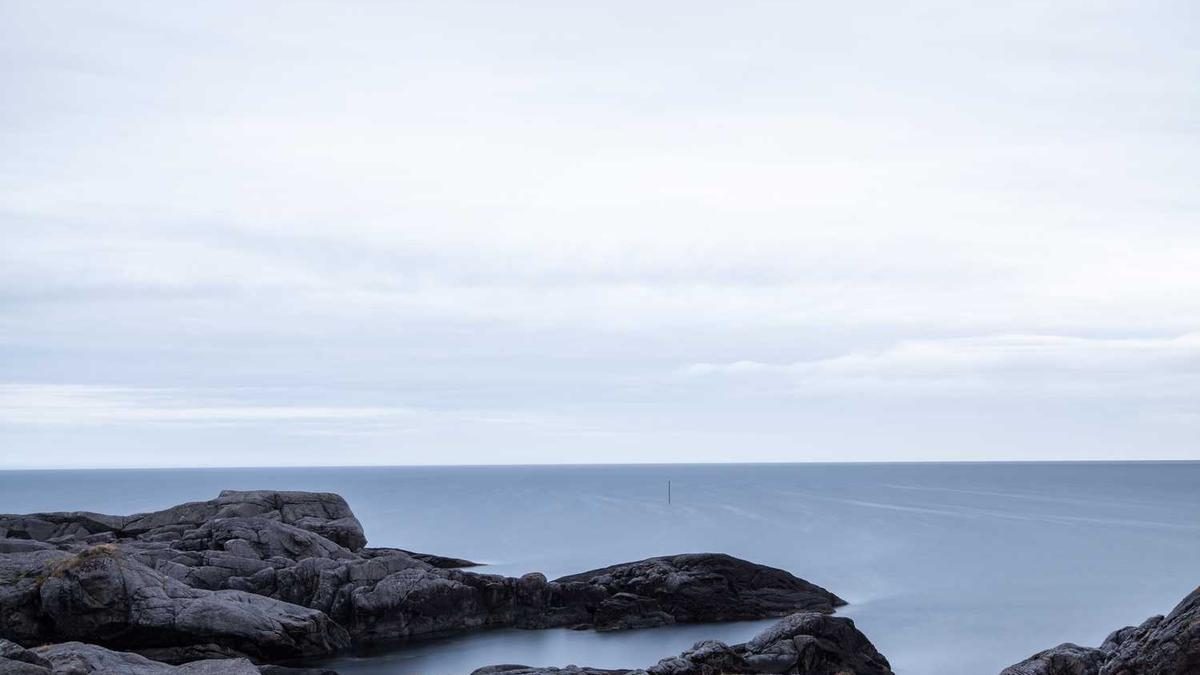Suchmaschinenoptimierung für nachhaltigen Markenerfolg