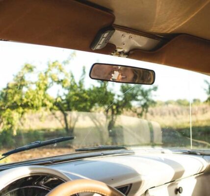 Video-SEO: YouTube und TikTok dominieren