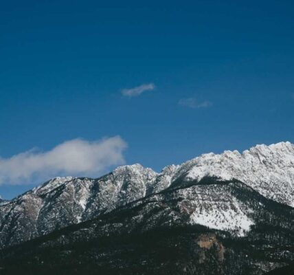 Voice Search Optimierung: Sprechen statt Tippen