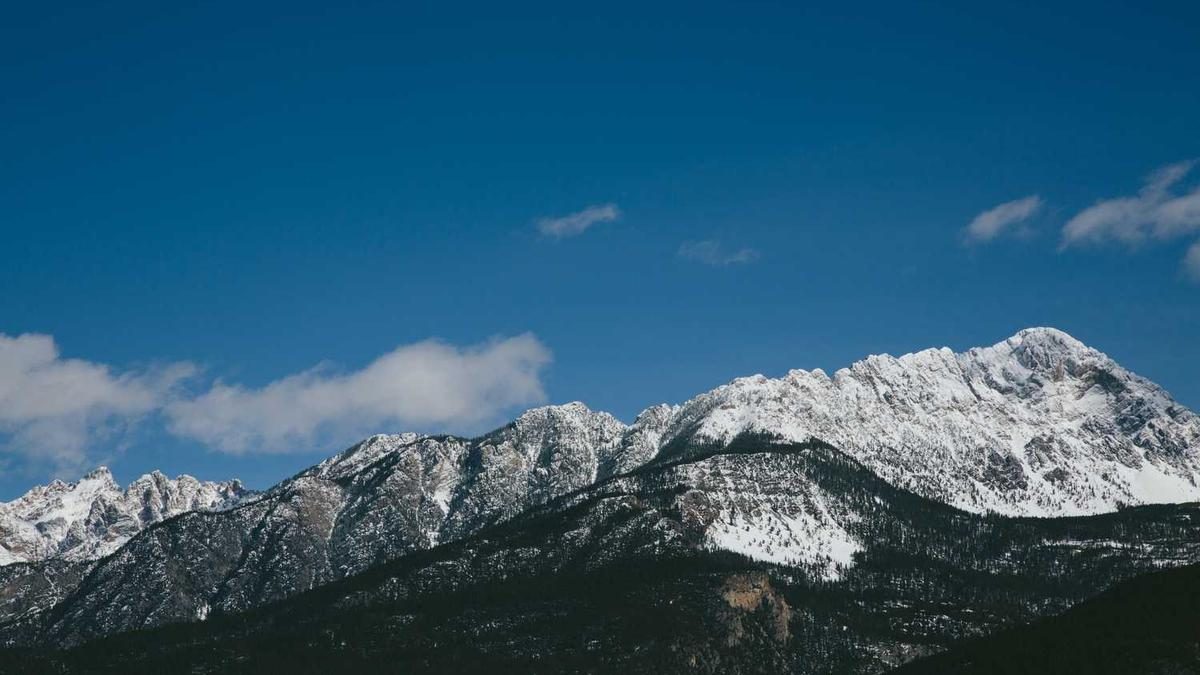 Voice Search Optimierung: Sprechen statt Tippen