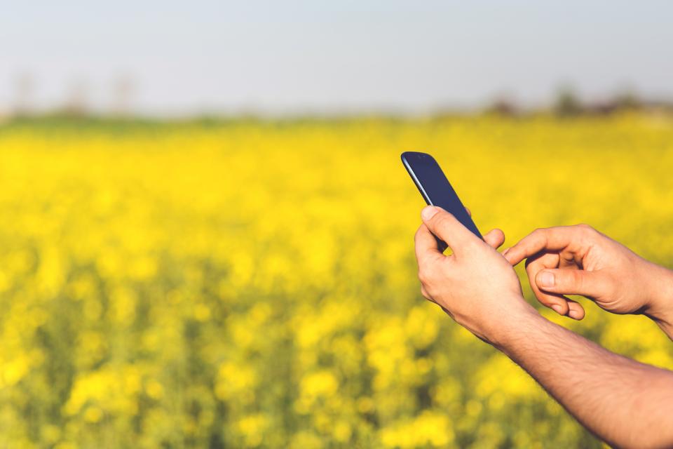Daumen tippt auf ein Formularfeld eines Smartphones, im Hintergrund ein Tisch mit Unterlagen